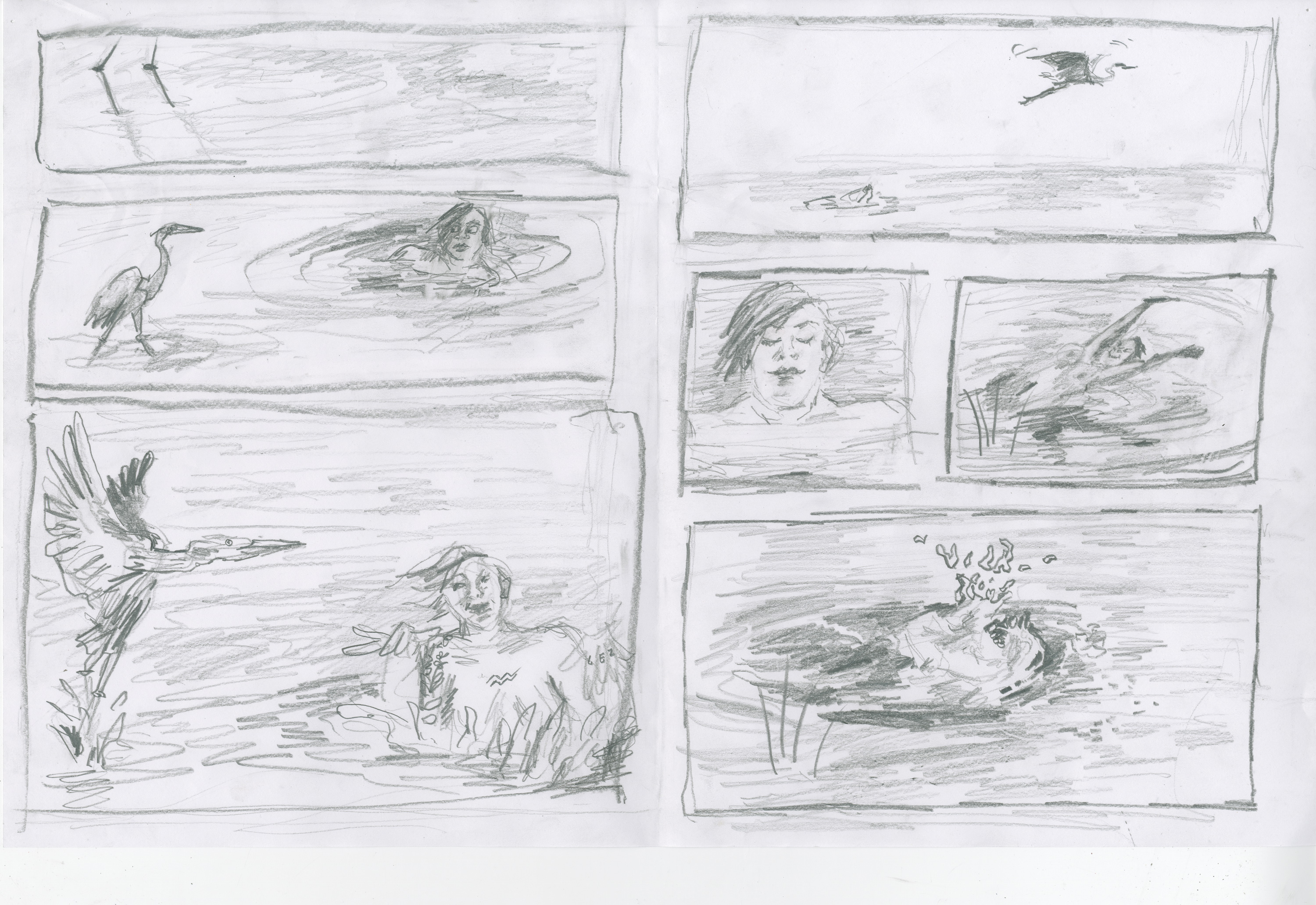 Heron first doublepage spread
